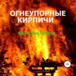 Огнеупорные кирпичи