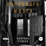 Бакалавриат головного мозга