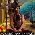 В мужской гарем? За что?!