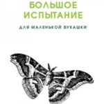 Большое испытание для маленькой букашки
