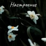 Настроение