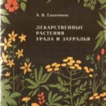Лекарственные растения Урала и Зауралья