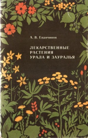 Лекарственные растения Урала и Зауралья читать онлайн