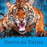 Отто фон Штиглиц