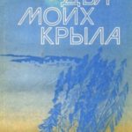 Два моих крыла