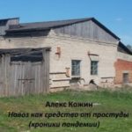 Навоз как средство от простуды (хроники пандемии)