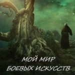 Мой мир боевых искусств 6