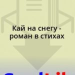 Кай на снегу - роман в стихах