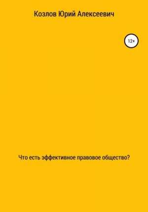 Что есть эффективное правовое общество? читать онлайн