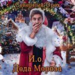 И.о. Деда Мороза