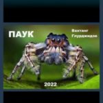 Паук