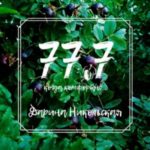 77.7 Когда комфортно…