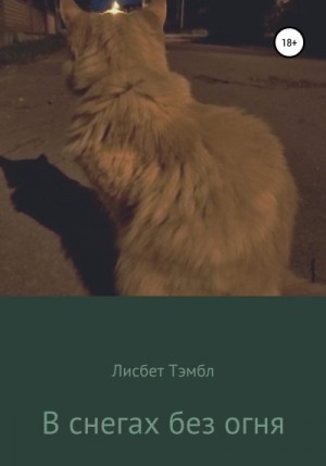 В снегах без огня читать онлайн