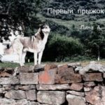 Первый прыжок