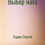 Выбор мага