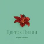 Цветок Лилии