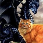 Кот, драконы и прочие неприятности