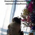 Новогодние приключения научных сотрудников