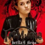 Гермиона, первая леди Грейнджер (не закончен)