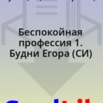 Беспокойная профессия 1. Будни Егора