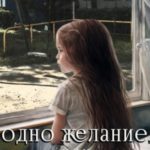 Одно желание, или 240 дней до победы