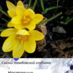 Сказки тамбовской глубинки. Вторая книга. Наставник