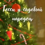 Тесси и садовый народец