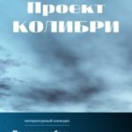 Проект Колибри
