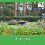Аптечка