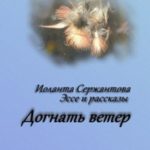 Догнать ветер