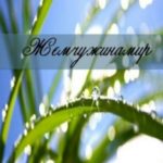 Жемчужинамир