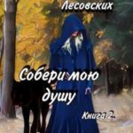 Собери мою душу. Книга 2