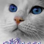 Югеал