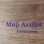 Мир Аллара. Амнистия