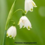 Рассказы медицинского