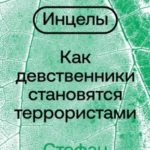 Инцелы. Как девственники становятся террористами