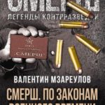 СМЕРШ. По законам военного времени