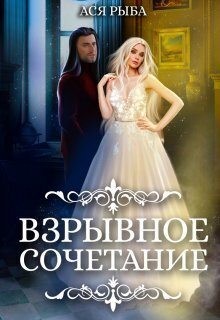 Взрывное сочетание читать онлайн