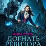 Догнать ревизора,или налог на Золушку