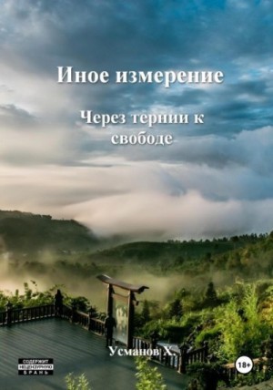 Иное измерение. Через тернии к свободе читать онлайн