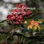Дом влюбленный в прошлое