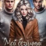 Мой безумный Новый год