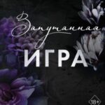 Запутанная игра