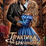 Практика по брачному контракту. Магия не пригодится!