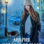 Забытый чародей. Авария, которой не было