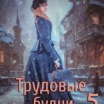 Трудовые будни барышни-попаданки 5