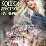 Кошки действуют на нервы
