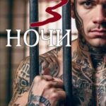 Три ночи с заключённым