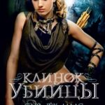 Клинок убийцы [Право на месть]