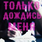 Только дождись меня